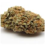 Шишки AK47  (Гидропоника, Бошка) VHQ в Волгограде